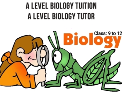 BIOLOGY home tution and online classes