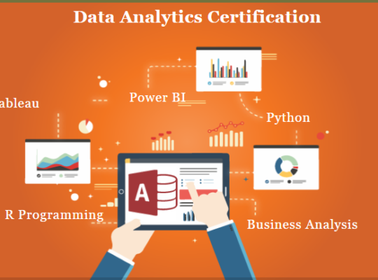 Data Analyst Training Course in Delhi, 110089.